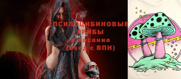 твердый Белокуриха