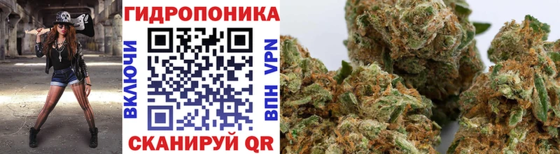 хочу   Демидов  Бошки марихуана Amnesia 